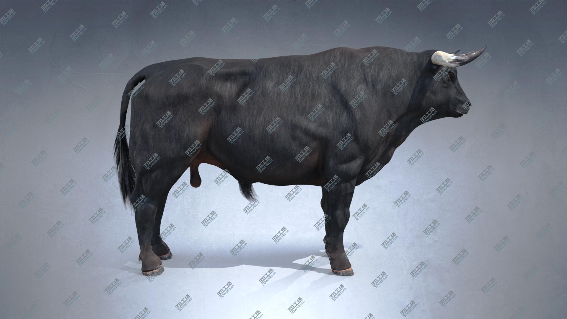 images/goods_img/20210319/Bull PBR(1) model/3.jpg